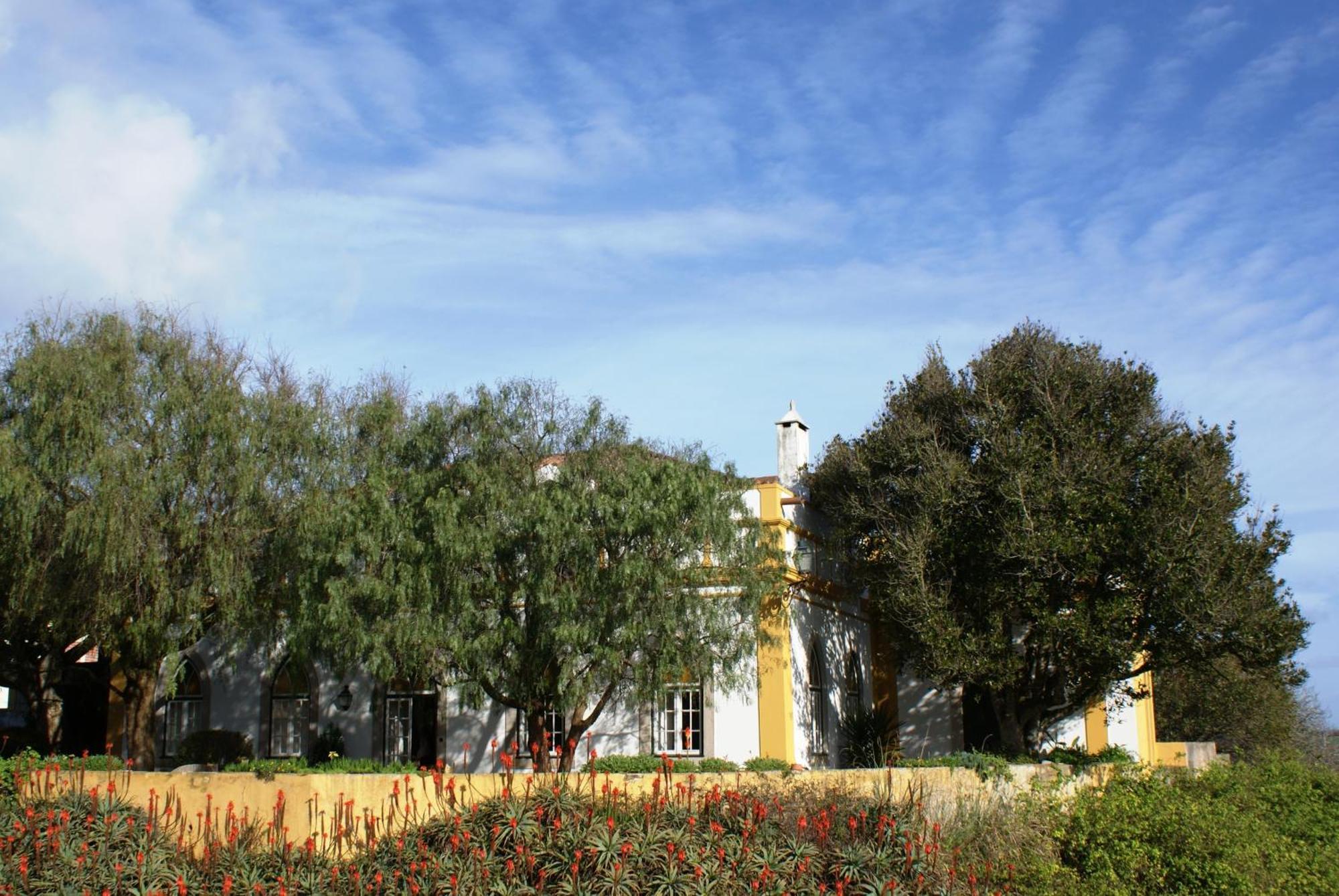 Casa Do Castelo - Turismo De Habitacao Bed & Breakfast Atouguia Da Baleia Bagian luar foto