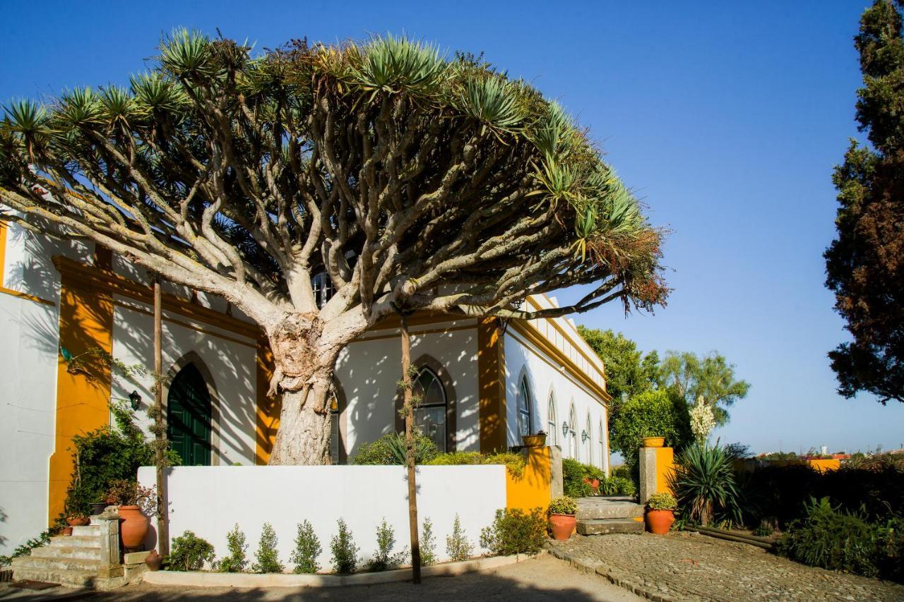 Casa Do Castelo - Turismo De Habitacao Bed & Breakfast Atouguia Da Baleia Bagian luar foto